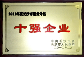 2011年长沙市服务外包十强企业