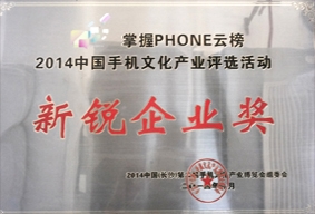 新锐企业奖